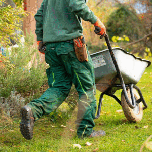 Landscaping Services